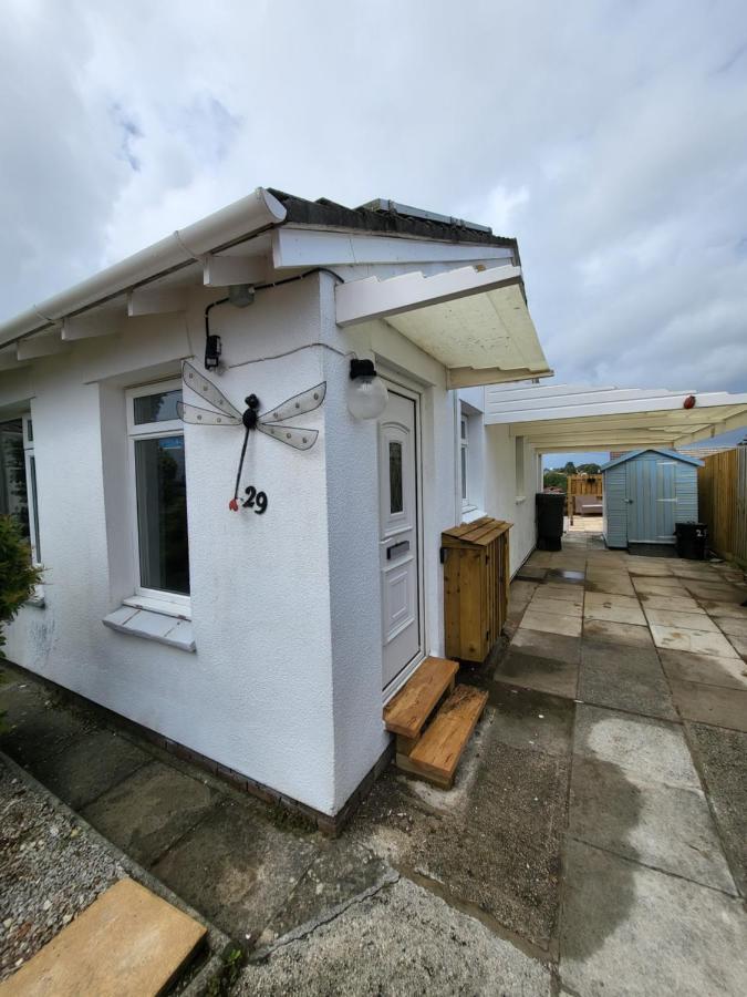 A Great Place For You And Your Dog To Stay Falmouth Dış mekan fotoğraf