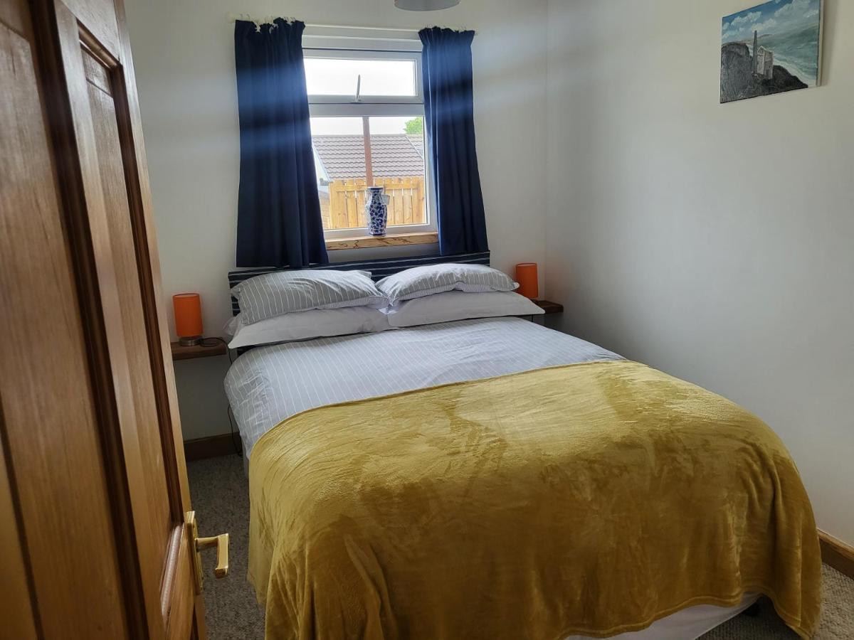 A Great Place For You And Your Dog To Stay Falmouth Dış mekan fotoğraf